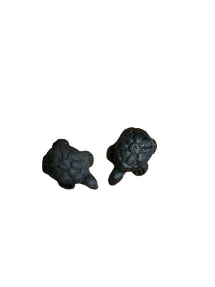 Mini par de tortugas
